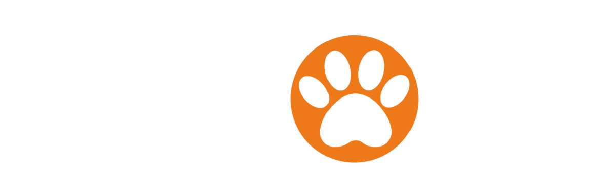 Neo's Outdoor Dog